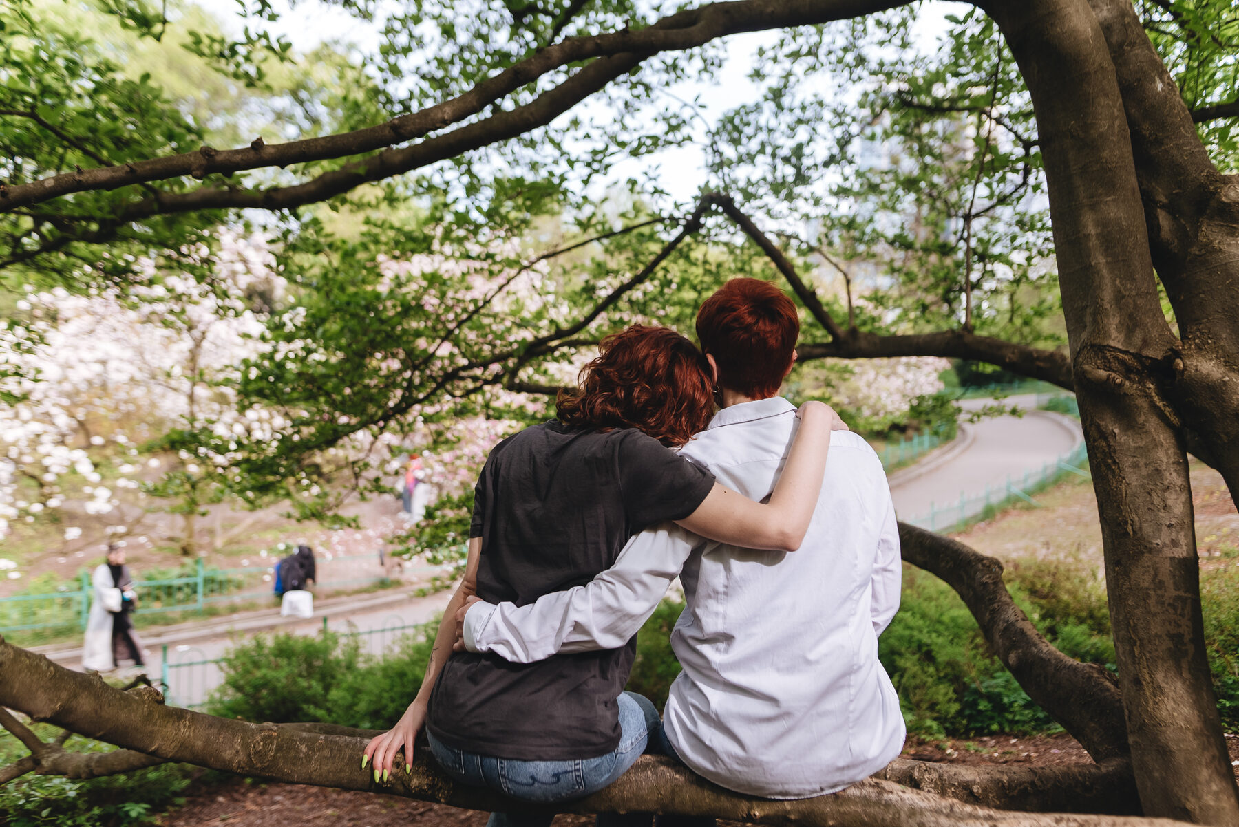 Two people embracing while sitting on a tree branch